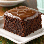 Chocolate Zucchini Cake